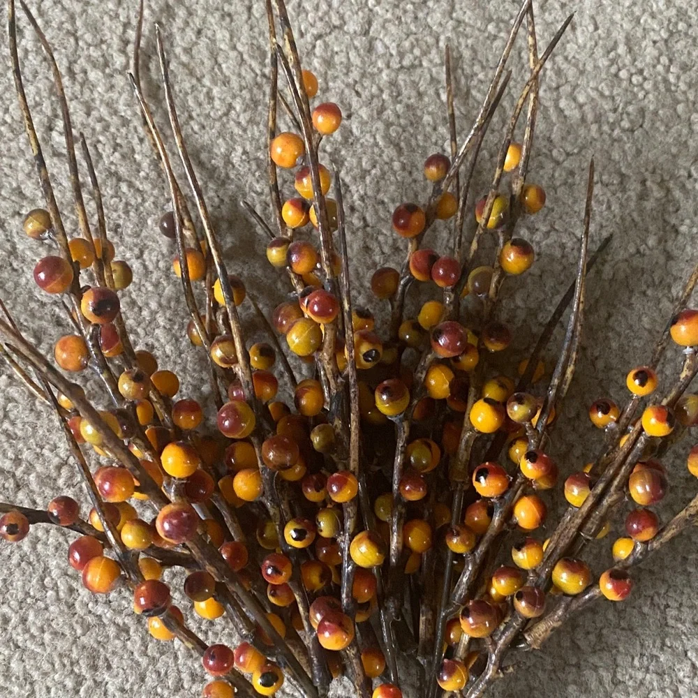 Autumn Rust Berry Branch Home Accent